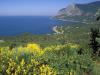 South Coast, Ukrainian Riviera on the Black Sea, Crimea, Ukr